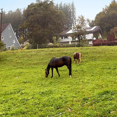 Gaestehaus Kornspeicher Untere Muehle